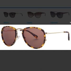 Jonathan Cate Sunnies